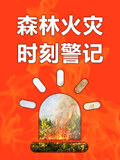 森林防火