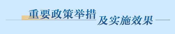 重要政策舉措及實(shí)施效果