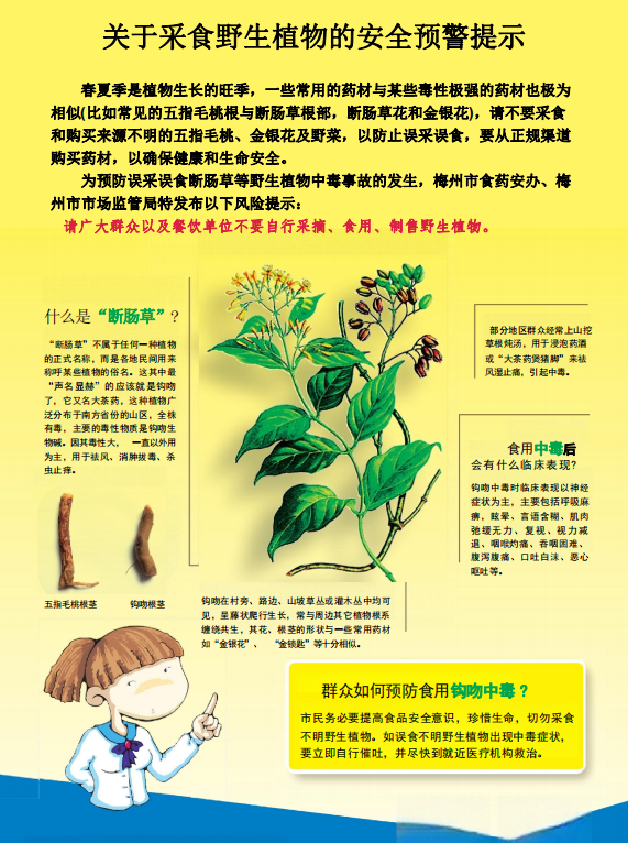 關于采食野生植物的安全預警提示.png